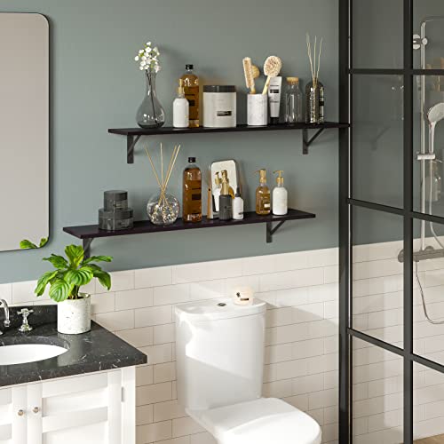 Long Wall Shelves (2 Count)
