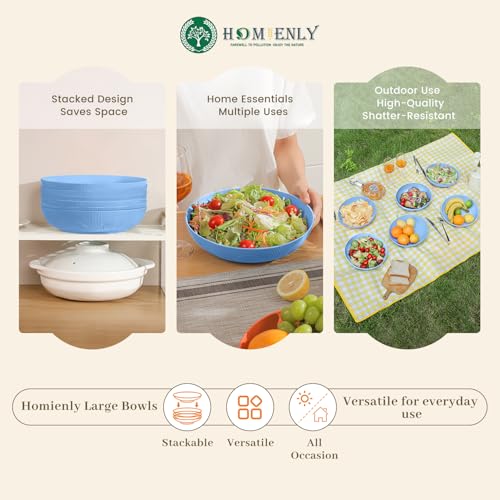 Wheat Straw Big Bowls Salad Bowl Set of 6 10 inch Serving Bowls 65 oz Large Plastic Plates Bowls Wide and Shallow Bowl for Kitchen Microwave & Dishwasher Safe