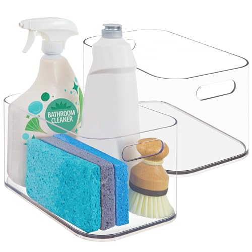 Bliss 10" x 6" Open Clear Pantry Organizer Bin (2 Count)