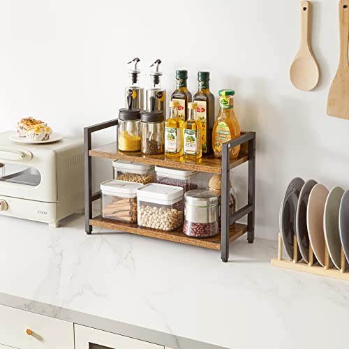 2 Tier Spice Rack