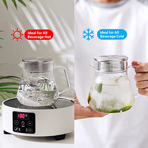 Small Glass Teapot with Stainless Steel Filter Lid