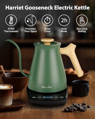 Gooseneck Electric Kettle