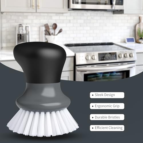 Dish Scrub Brush (2 Count)