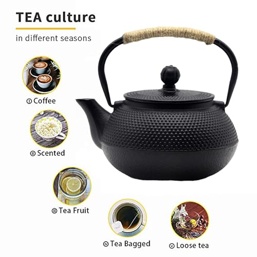 20.3oz Small Cast Iron Teapot Set with Warmer