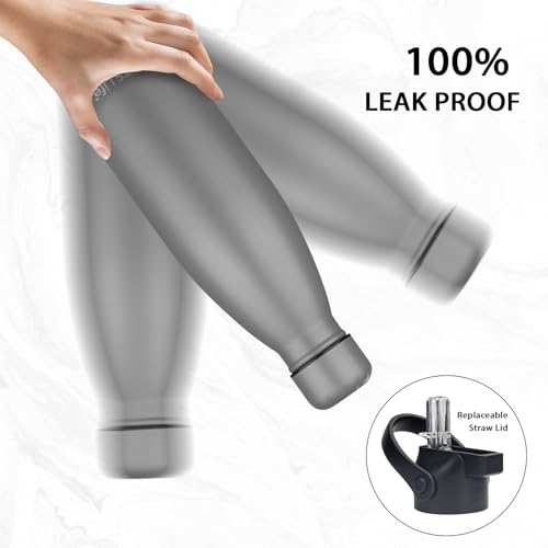 Insulated Water Bottle (2 Count)