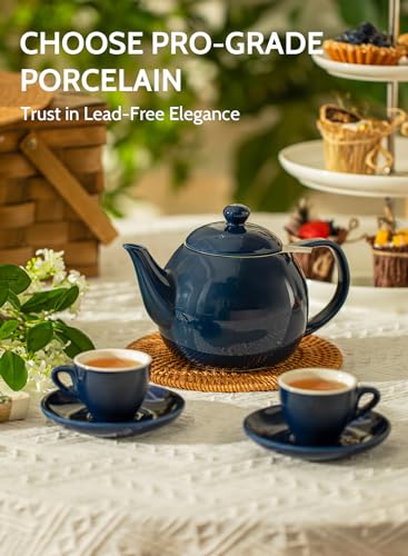 Teapot Porcelain Tea Pot with Stainless Steel Infuser