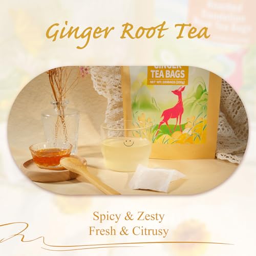 Ginger Tea Bags (100 Count)