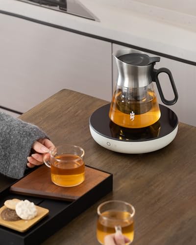 Glass Teapot with Infuser with 2 Cups for Loose Tea Steeper