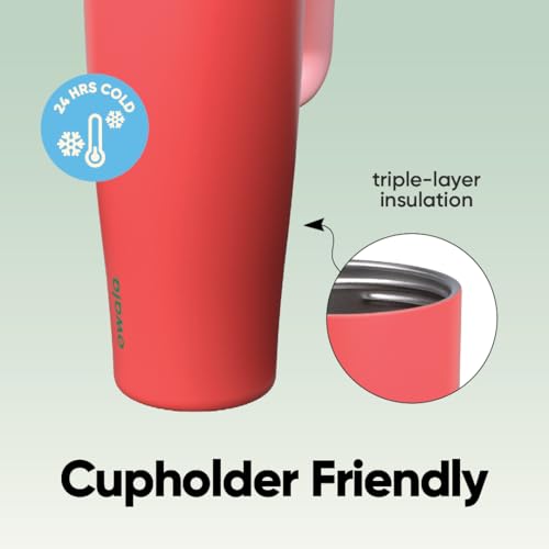 FreeSip Tumbler Stainless Steel Water Bottle 40 oz Strawberry Fields