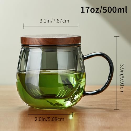 17 OZ Glass Tea Cup with Infuser and Lid (17 Fl Oz)