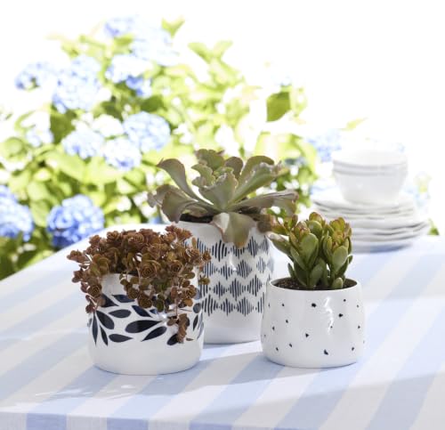 Blue Bay 3 Piece Canister Set with Lid (3 Count)