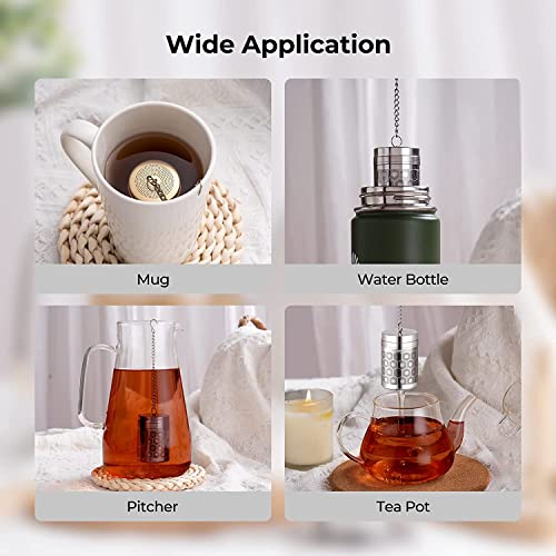 2 Pack Reinmoson 304 Stainless Steel Tea Infuser for Loose Leaf Tea Steeper (2 Count)