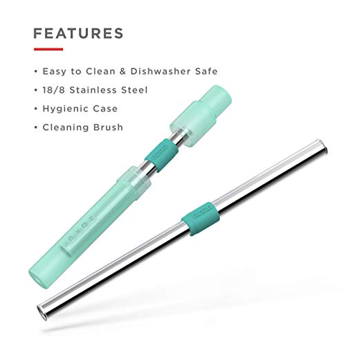 Jumbo Reusable Metal Straw with Case