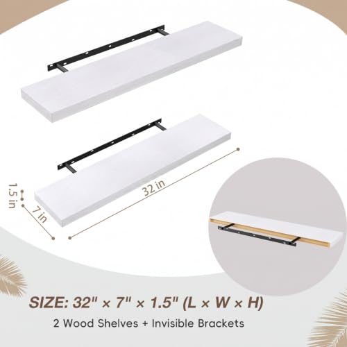Floating Wall Shelves (2 Count)