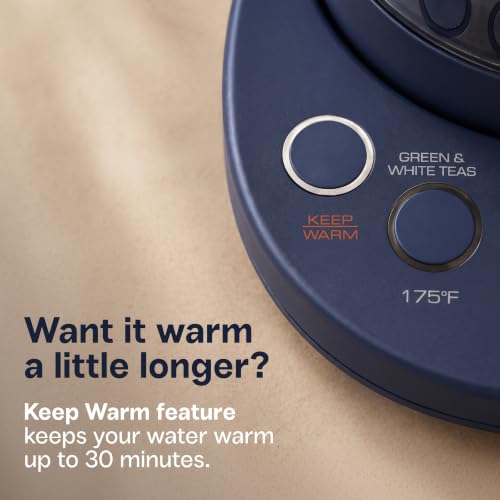 Viante Alba Electric Tea Kettle