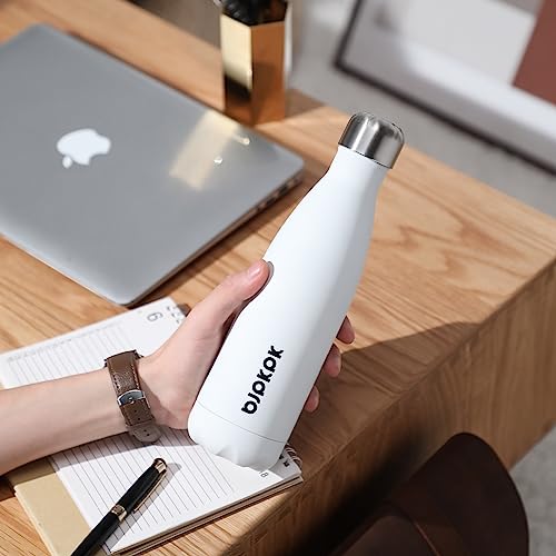 25 oz Insulated Water Bottle