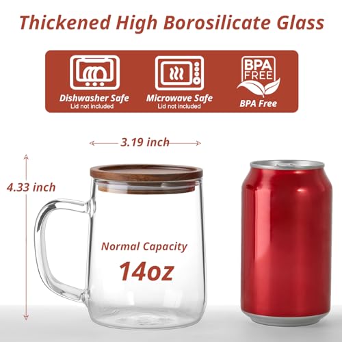 Glass Coffee Mugs (2 Count)
