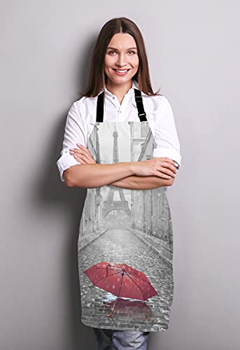 Paris France Apron