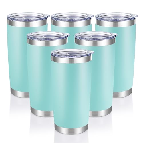20 oz Tumblers Bulk Stainless Steel Tumbler with Lid (6 Count)