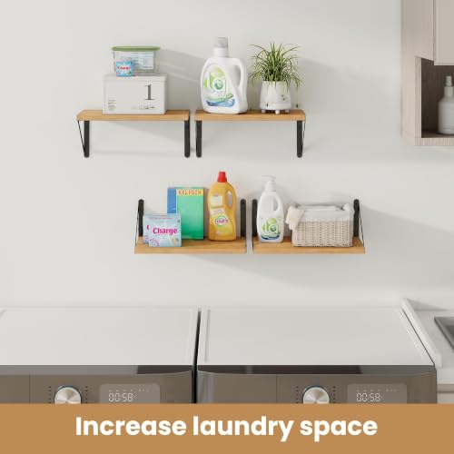 Floating Book Shelves for Wall (3 Count)