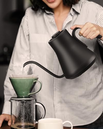 Gooseneck Electric Kettle with ±1℉ Temperature Control 0.9 Liter