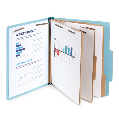 10 Classification Folders (10 Count)