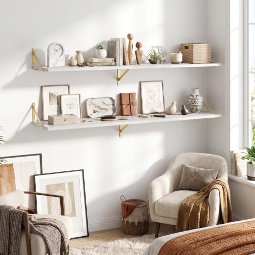 Wall Mounted Floating Shelves Set of 2 (2 Count)