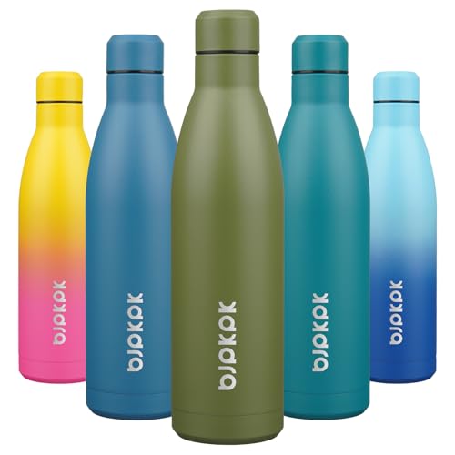 25 oz Insulated Stainless Steel Water Bottle