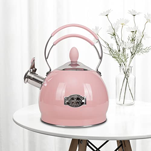 Whistling Tea Kettle Stainless Steel Teapot