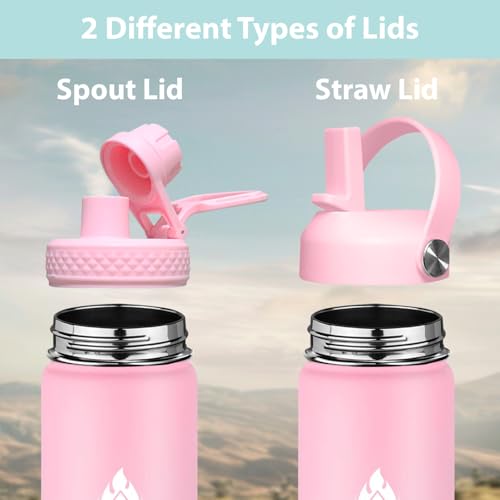 Stainless Steel Water Bottle