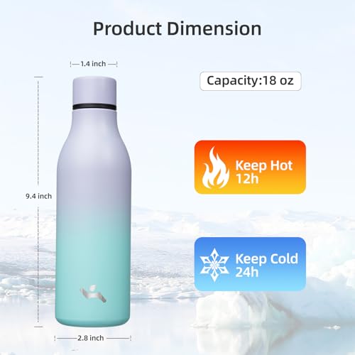 18 oz Insulated Stainless Steel Metal Water Bottle with Strap