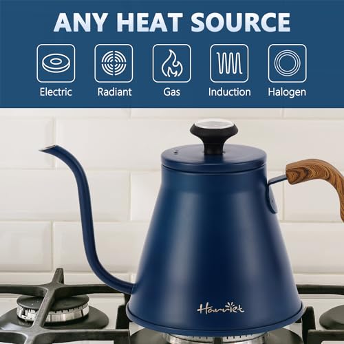 Gooseneck Kettle with Thermometer for Pour Over Coffee and Tea