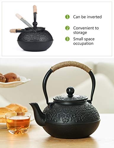 Cast Iron Tea Pot with Infusers for Loose Tea