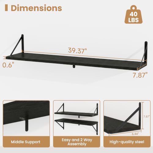 Floating Book Shelves for Wall (3 Count)