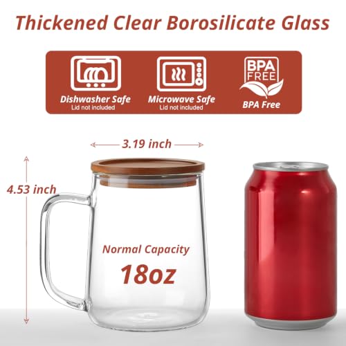 Glass Coffee Mugs (2 Count)
