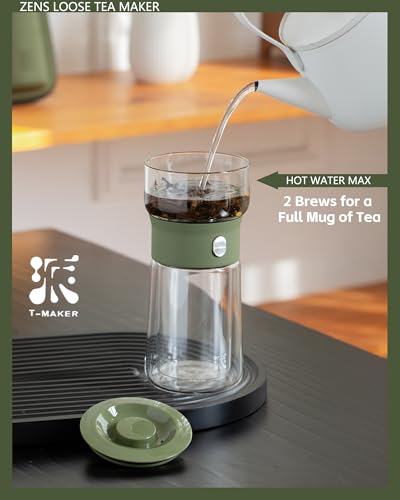 Modern Glass Infuser Teapot