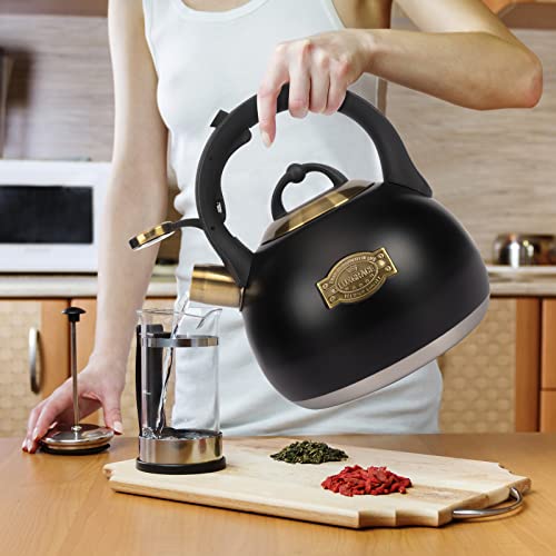 Tea Kettle for Stovetop