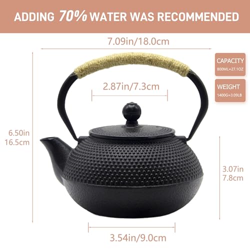 Japanese Tetsubin Cast Iron Teapot Tea Kettle pot with Stainless Steel Infuser for Stovetop Safe Coated with Enameled Interior