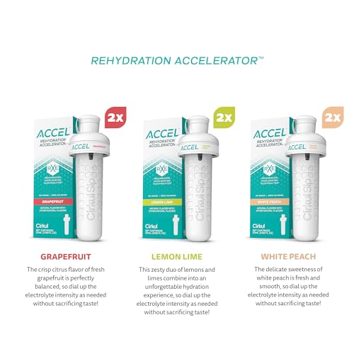 Accel 6 Pack. No Sugar (6 Count)