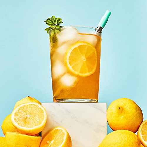 Reusable Metal Straw with Case