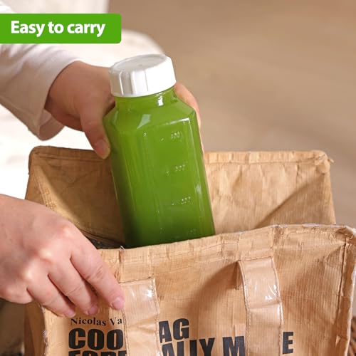 3 Pack 16 Oz Glass Milk Container for Lunch Box (3 Count)