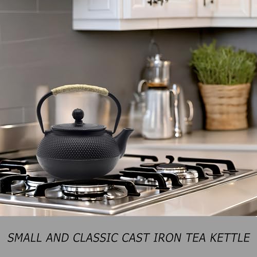 20.3oz Small Cast Iron Teapot Set with Warmer