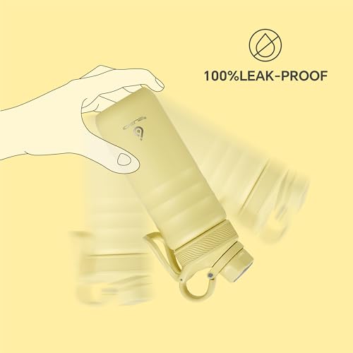 Insulated Stainless Steel Water Bottle with 2 Leak