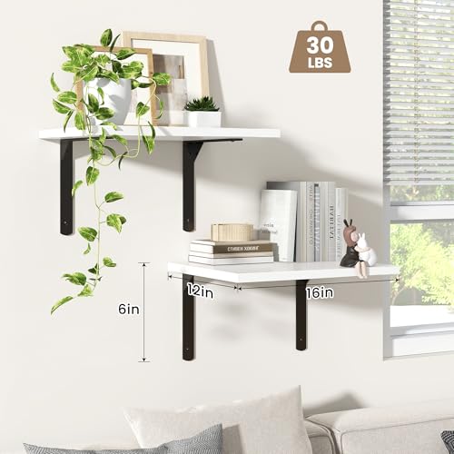Floating Shelves for Wall (2 Count)