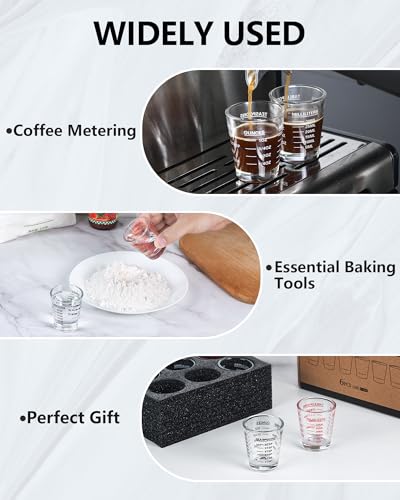 Shot Glass Measuring Cup Set (6 Count)