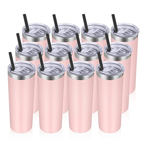 Stainless Steel Tumblers Bulk 12 Pack (12 Count)