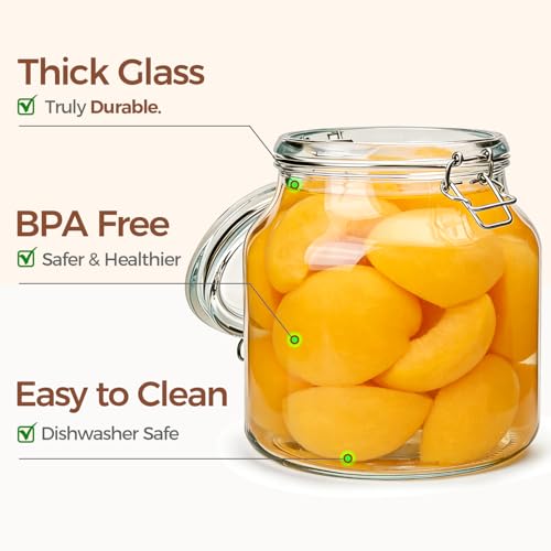 Large Glass Pantry Jars with Airtight Lids 74 oz 2 Pack Wide Mouth (2 Count)