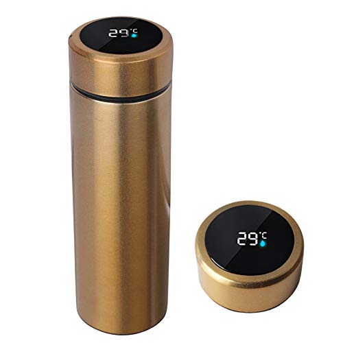 Water Bottle with LED Temperature Display