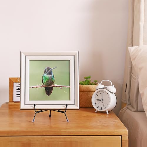 10 Pack Upgraded Plate Display Stands (10 Count)