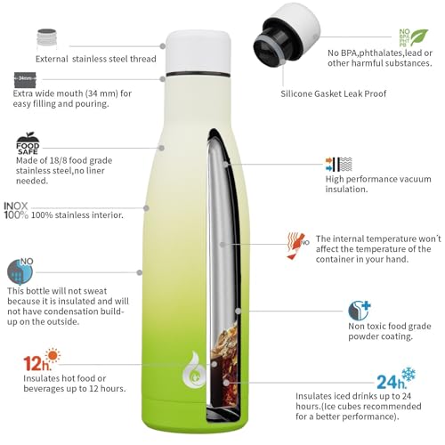 17 oz Insulated Thermal Metal Water Bottle